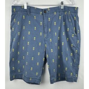 Plugg Mens Big‎ & Tall Blue w/Pineapple Theme Print Sz 36 Chino Shorts